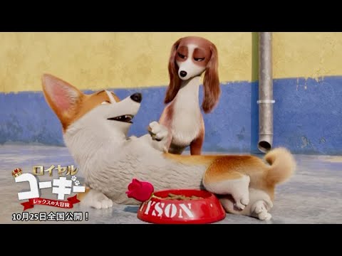中村悠一が沢城みゆきに愛をささやき猛アタック!映画『ロイヤルコーギー』本編映像