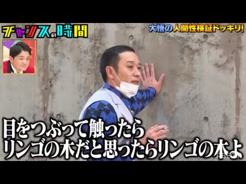 千鳥・大悟が王林の悩みに○○なアドバイス連発!?大悟の人間性検証ドッキリ!『チャンスの時間 # 174』