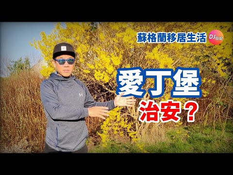 愛丁堡的治安? 移民外地其中一個好多人考慮嘅治安問題, 究竟? 【香港人在愛丁堡生活】829