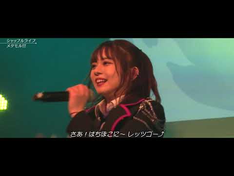 【メタモル!!!】『シャッフルライフ』LIVE ver.