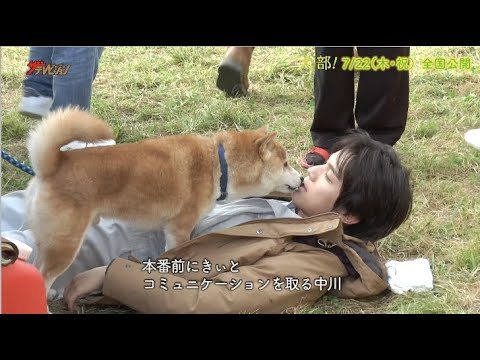 中川大志&林遣都、犬達との仲良しなコミュニケーション姿が癒される! 映画『犬部!』メイキング映像