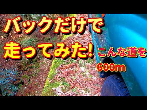 【険道 酷道】道幅ギリギリの崖険道をバックだけで走破した変態の記録・・パジェロミニで山奥の水路トンネルへ向かう道のり 罠山谷暗渠 字幕あり 翻訳あり