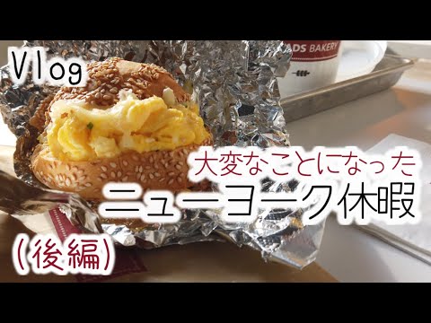 (後編)ニューヨーク の休暇が大変なことに・前編とは大違い【ロサンゼルスで働く一人暮らし】