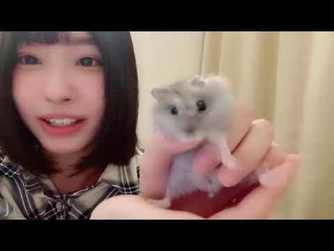 沖 侑果(STU48 ドラフト3期生)|SHOWROOMショールーム 2022 05 09