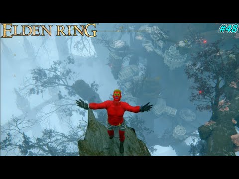 【ELDEN RING】前世でどんな悪いことをしたら、裸で聖樹の枝の頂上に転送されるんだ!? #48