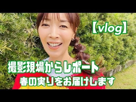 【vlog】春の実りが充実 レギュラー番組『晴れ、ときどきファーム!』の自然に笑顔でホッコリ!!