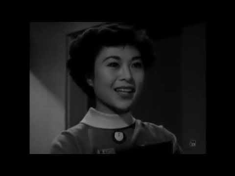 ひまわり娘 有馬稲子 三船敏郎 1953年製作