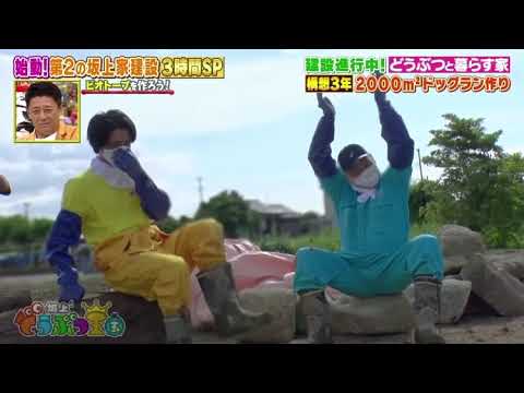 海ちゃん可愛い😊 #髙橋海人 #坂上どうぶつ王国 #可愛い