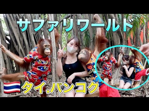 【タイ】動物と超近距離!サファリワールドが癒しで溢れてた