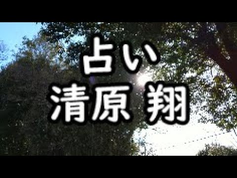《占い》清原翔さん《占い》