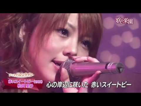 田中れいなメドレー