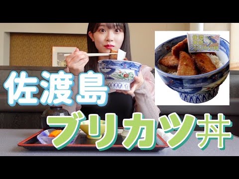 佐渡のブリカツ丼がおいしすぎた!!!
