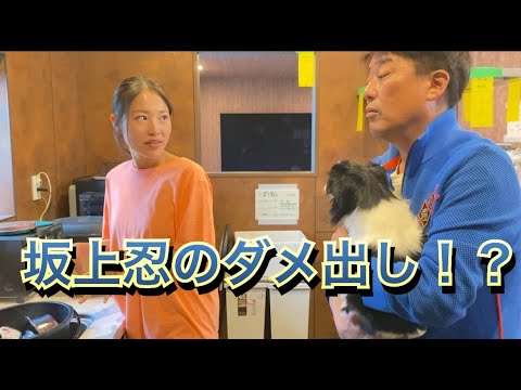 「わんこのお世話♪保護ハウスのリアルをお届けします」