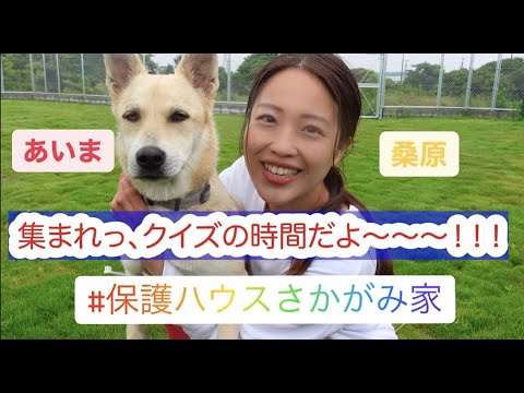 【ワンコクイズ】答えてね♪ワンコの歯磨きクイズ!