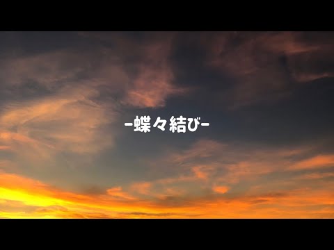 Aimer【蝶々結び】Cover