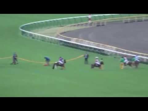 2019 全国ポニー競馬選手権「第11回ジョッキーベイビーズ」決勝大会 勝利ジョッキー 佐野遥久