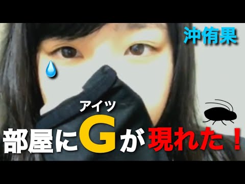 【STU48】沖侑果さんの部屋にGが出現!
