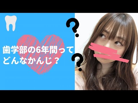 歯学部の6年間ってどんなかんじ?