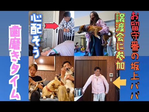 【譲渡会へ行く】お留守番の坂上パパは◯◯◯をしていた!!!!