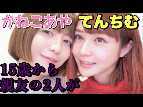 【かねこあやvsてんちむ】炎上を時系列で分かりやすく解説