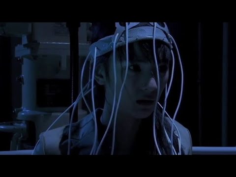 モルモット (2011)