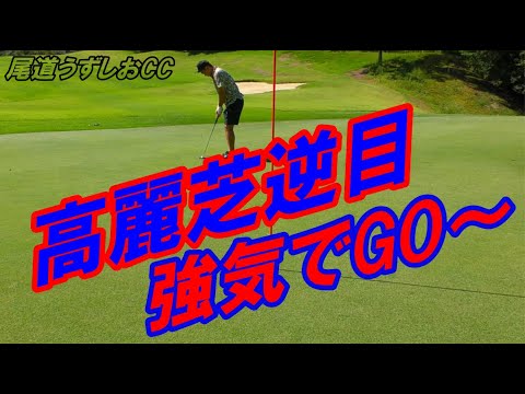 【ゴルフラウンド】高麗芝の落とし穴!尾道うずしおカントリークラブ!