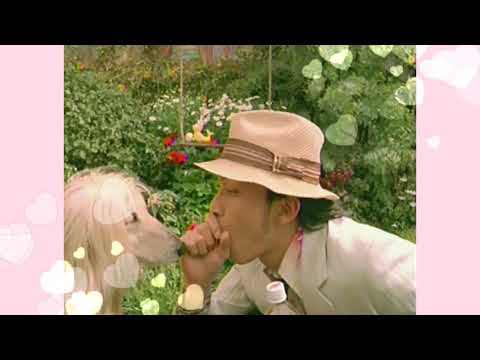 LiptonリモーネCM【長瀬智也】KinKiとも仲良し♡幻のグループ『ジパング』のメンバー???