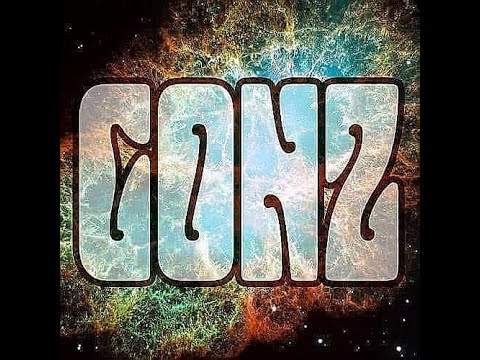 instrumental festival in nagoya Vol.5(奏)出演Artistコメントvol.4 出演:GONZ