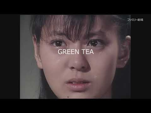 スケバン刑事II 南野陽子 総集編