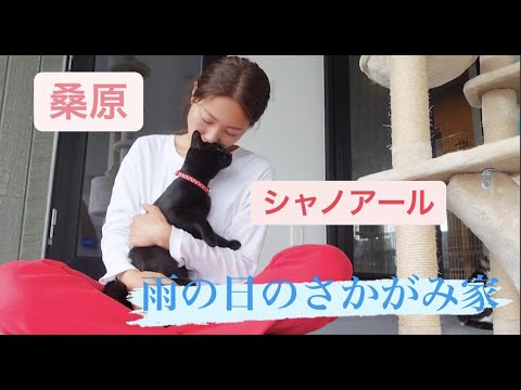 【正解発表】歯磨きクイズの答えを要チェック!