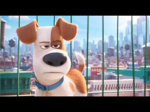 永作博美がアニメ声優に初挑戦!映画『ペット』本編映像