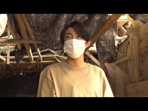 最新ニュース – 相葉雅紀、保護犬トリミング4年で初の緊急事態発生 SixTONES森本慎太郎が見守る