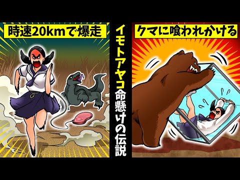 【実話】イモトアヤコの壮絶な下積み時代…後藤真希に敗北した過去をアニメで解説してみた