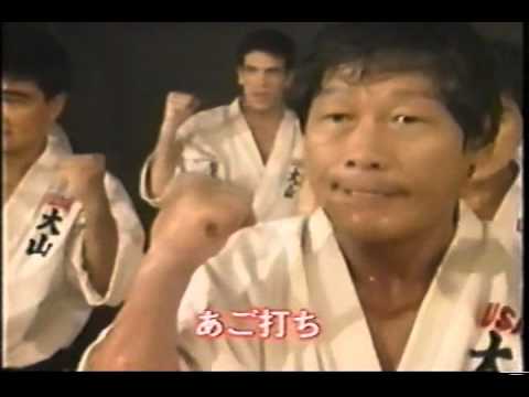THE PUNCH World Oyama Karate 大山茂 ザ・パンチ