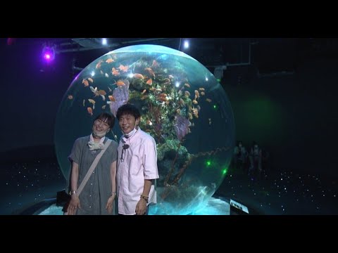 N1- 浜田雅功『ごぶごぶ』クリスマス特別編 鈴木杏樹と“デート”の水族館など注目スポット一挙紹介