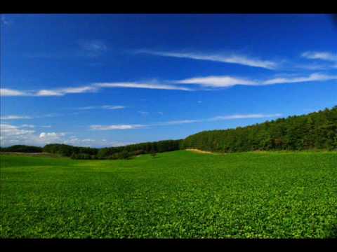 斉藤由貴~いつか
