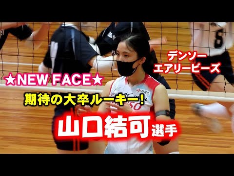 【女子バレー】山口結可選手は期待の大卒ルーキーセッター!【デンソーエアリービーズ】