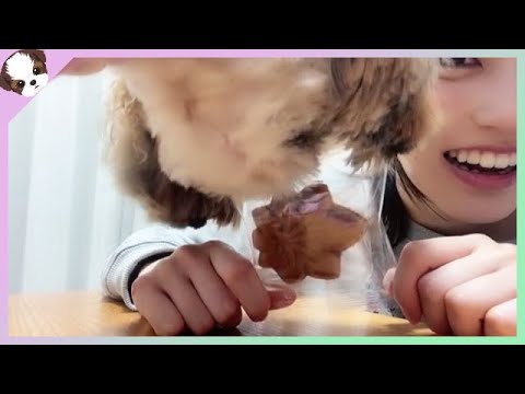 23/01/08 吉崎凜子 STU48 2期生