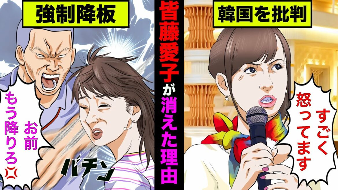 【実話】皆藤愛子がテレビから消えた本当の理由!生放送でアレをやってしまった【アニメ】【ゆっくり解説】