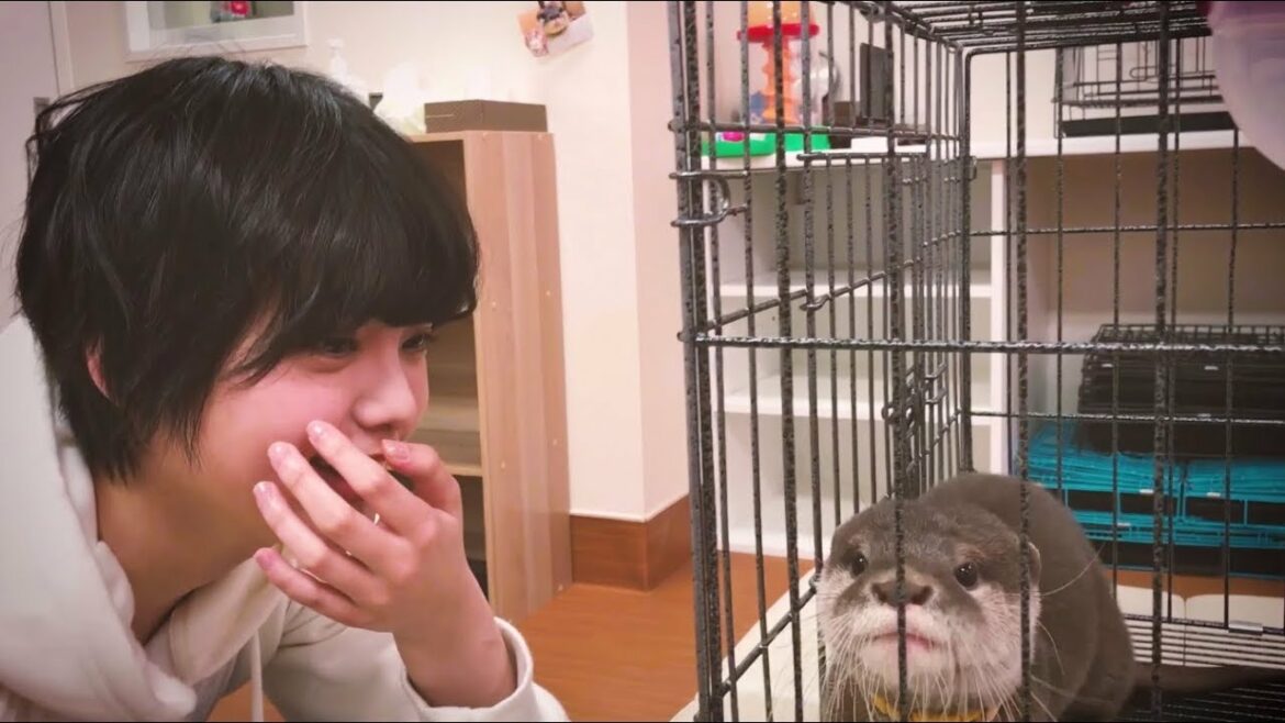 欅坂46 平手友梨奈 <自撮りTV>