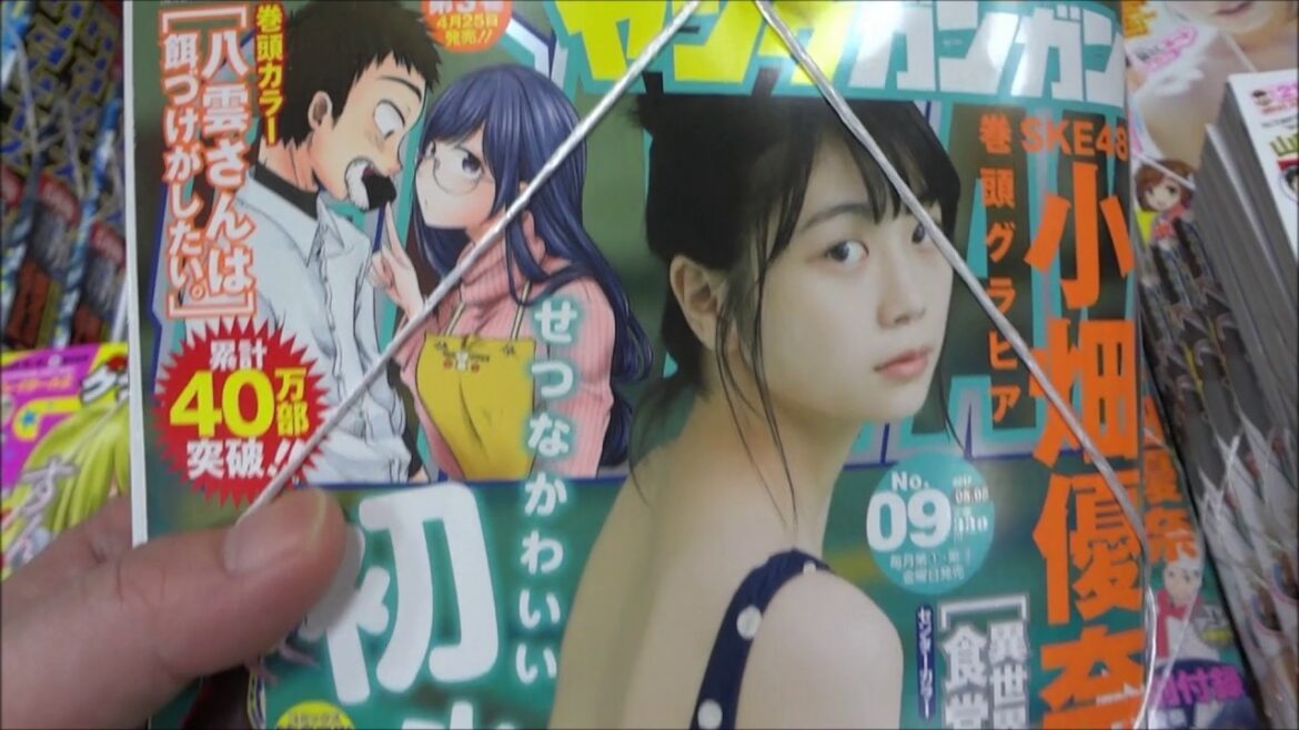 ヤングガンガン 2017年 5/5 号 小畑優奈