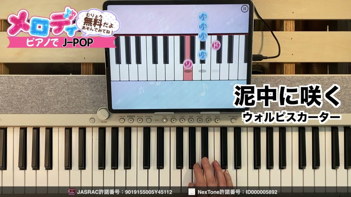 【泥中に咲く – ウォルピスカーター】ピアノで弾いてみた|メロディ