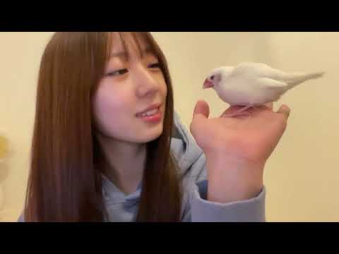 坂本 りの(HKT48 チームH)