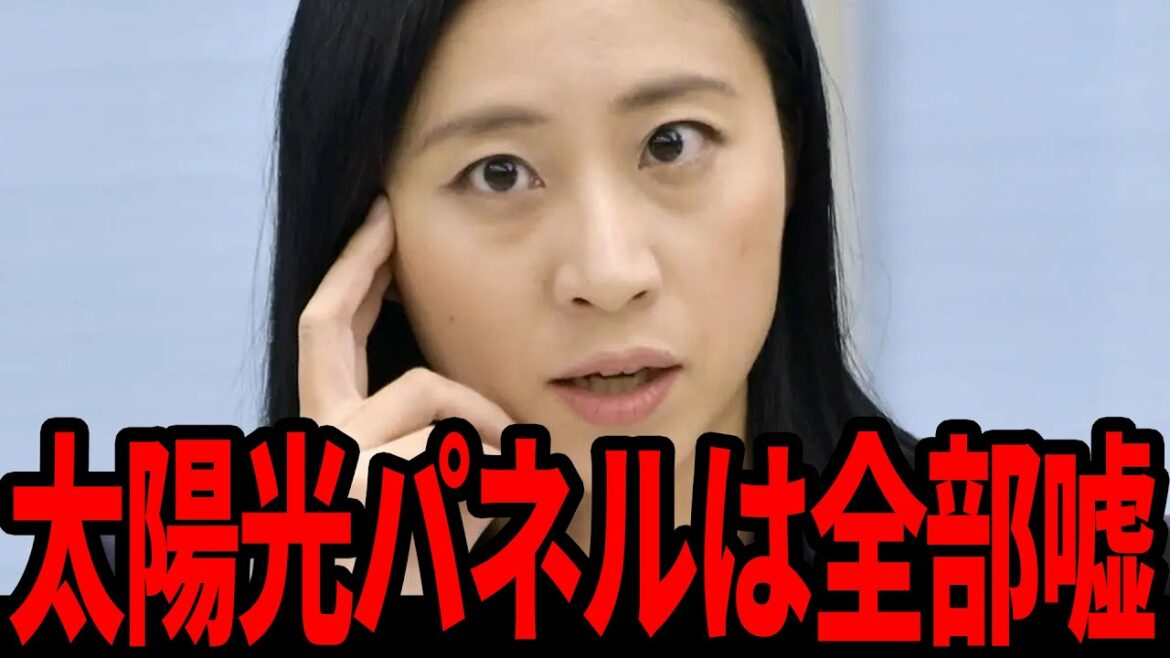 三浦瑠麗の正体がついに分かりました。彼女は裏で●●と繋がっていたんです【ホリエモン 堀江貴文 太陽光パネル エコ 省エネ 切り抜き】