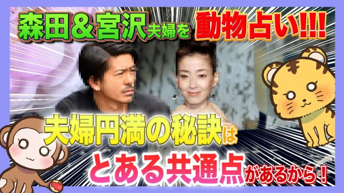 【意外な事実】宮沢りえと森田剛の本当の夫婦仲は?【動物占い】