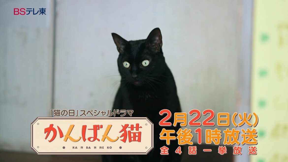 猫の日スぺシャルドラマ「かんばん猫」 全4話一挙放送 | BSテレ東