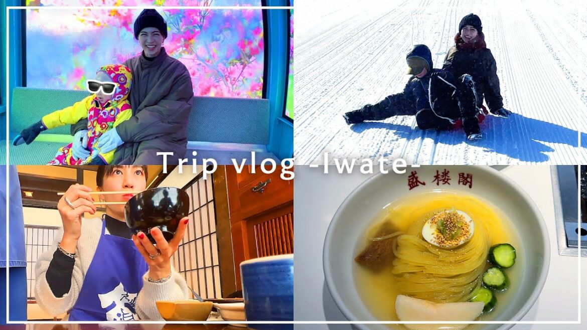 【vlog】家族旅行で岩手・安比高原に行ってきました⛄️🤍【雪遊び|リゾート|わんこそばetc..】