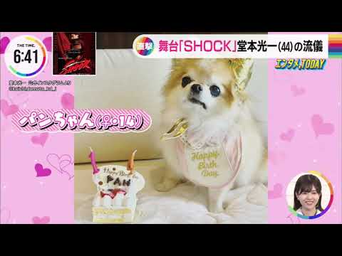 パンちゃんに嫌われた!?SHOCKな会見【パンちゃん溺愛シリーズ⑯】
