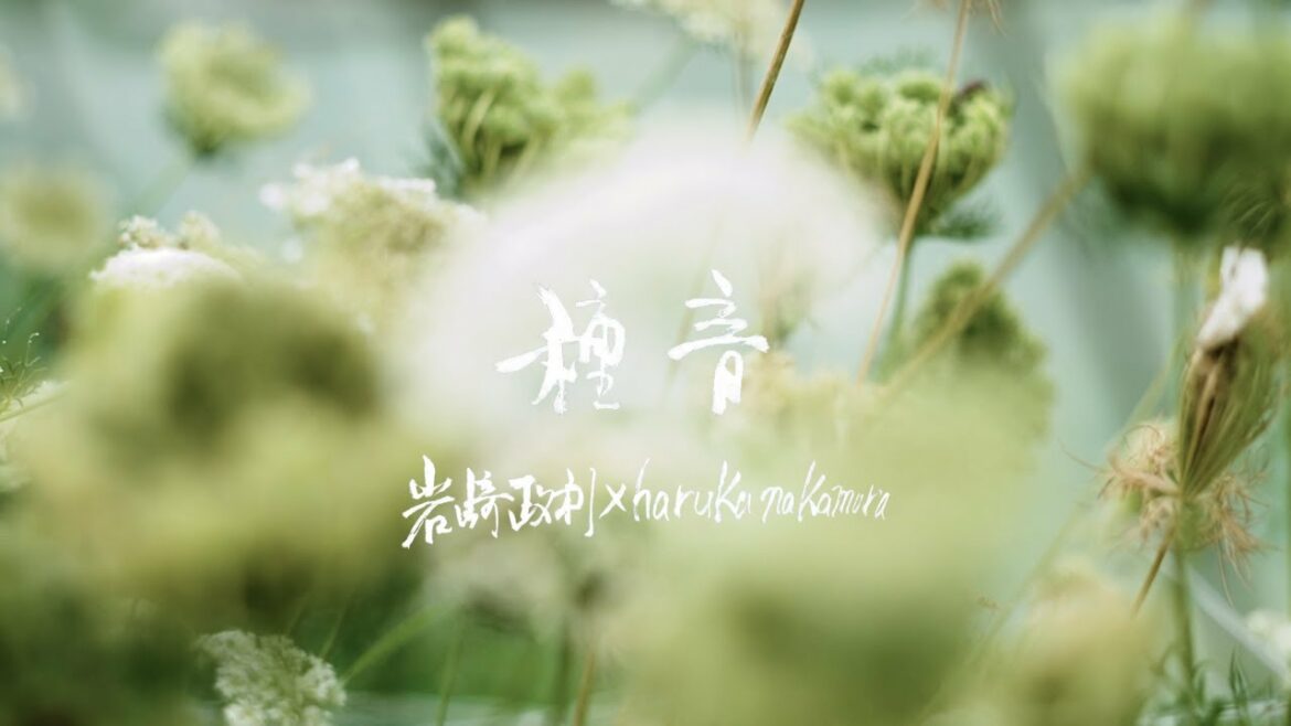 「種音Ⅱ」岩崎政利 × haruka nakamura