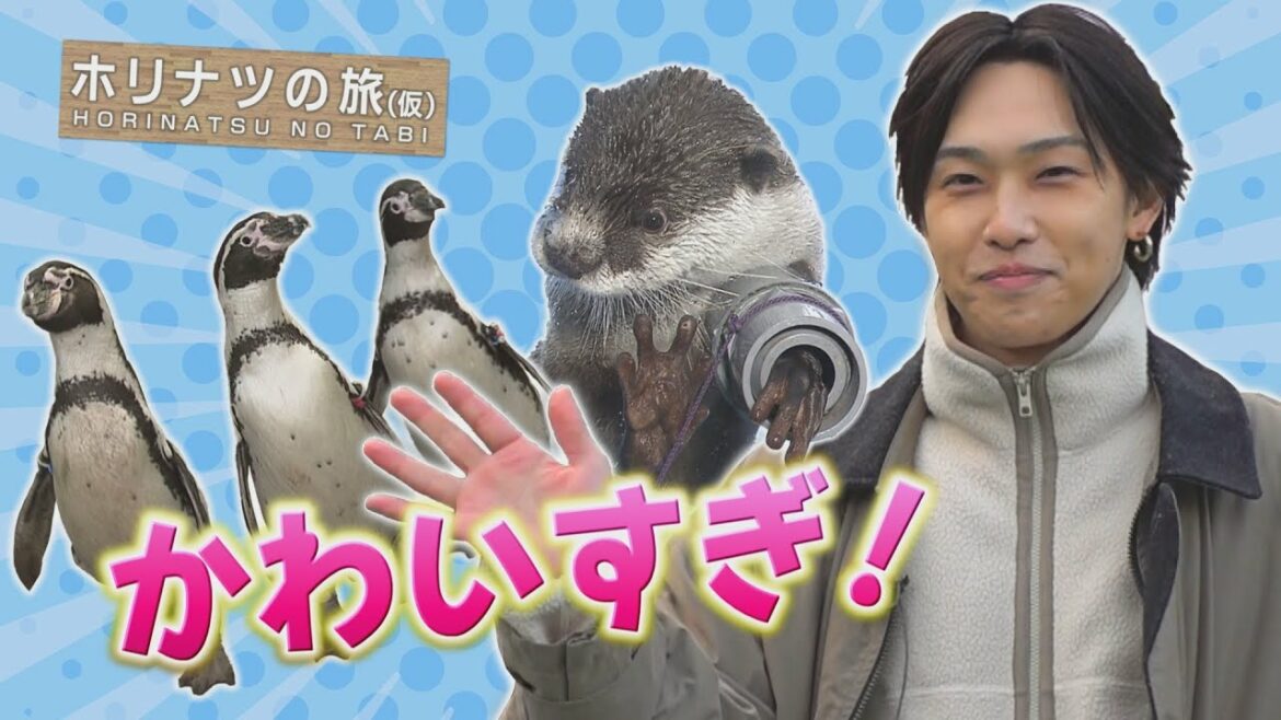 FANTASTICS堀夏喜が可愛らしい動物たちとふれあう!「ホリナツの旅(仮)」伊勢市編③
